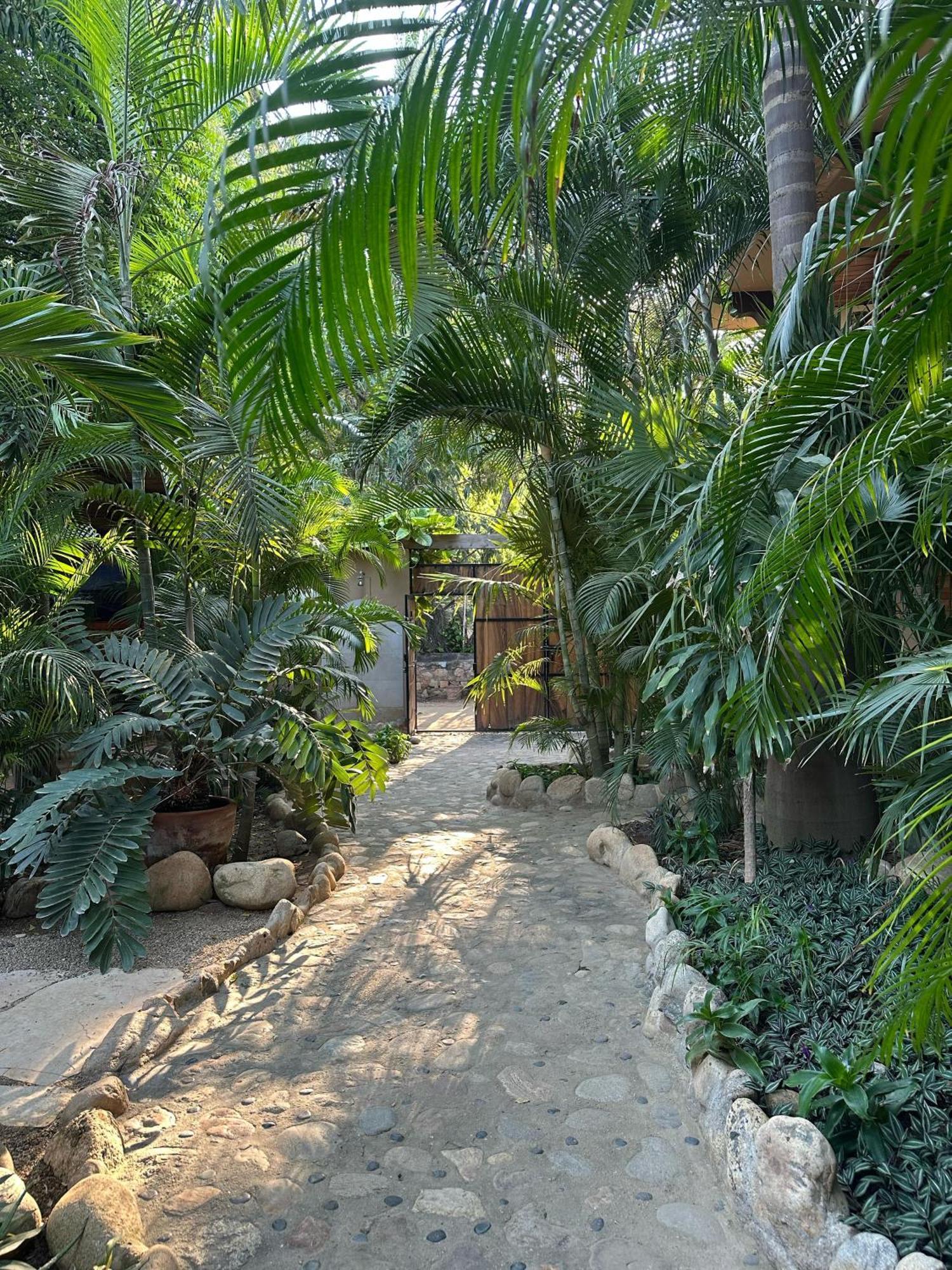 פוארטו אסקונדידו Hotel Gallo De Mar מראה חיצוני תמונה